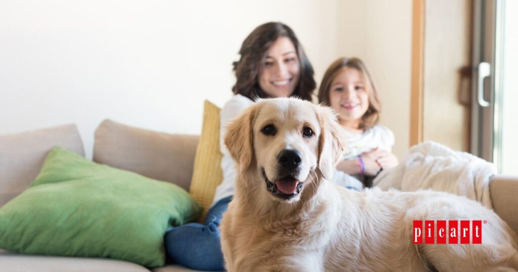Historia de la amistad entre perros y humanos
