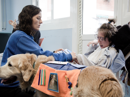 perros de terapia