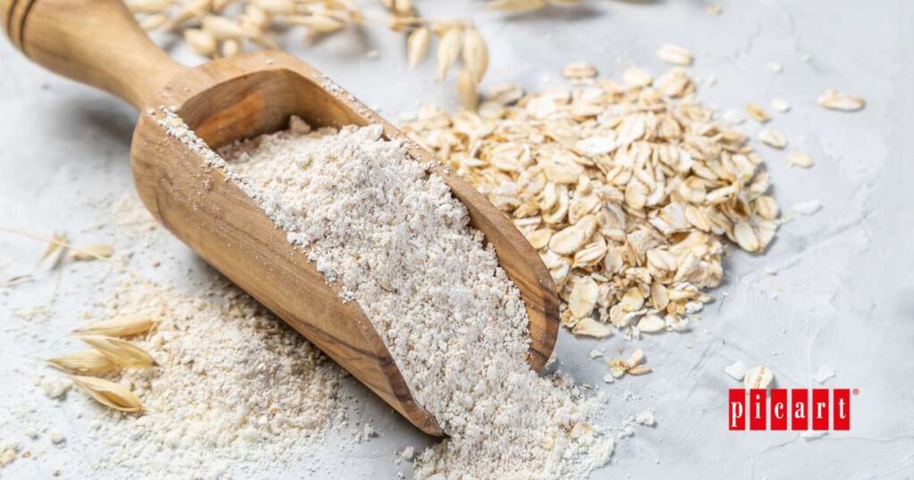 Perros y gatos intolerancia gluten