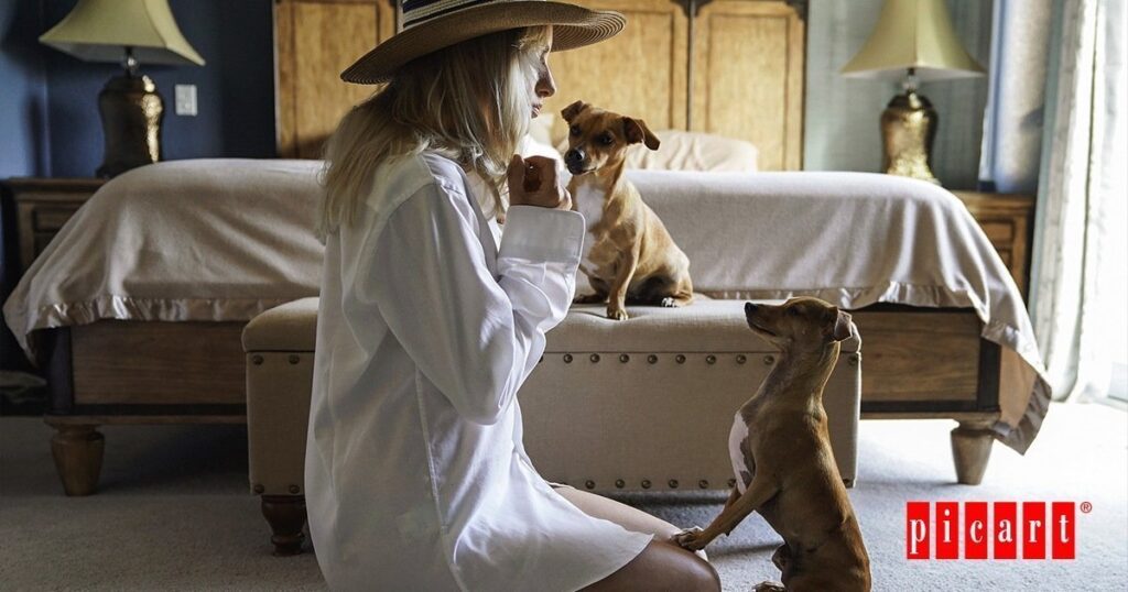 hoteles pet friendly