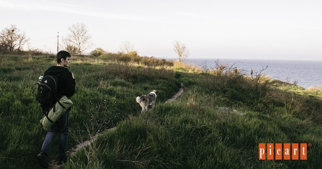 viajar con tu mascota