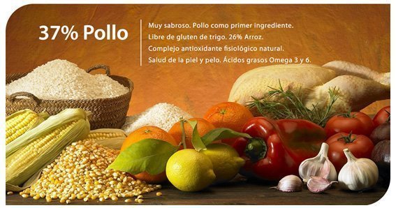 alimentación para cachorros