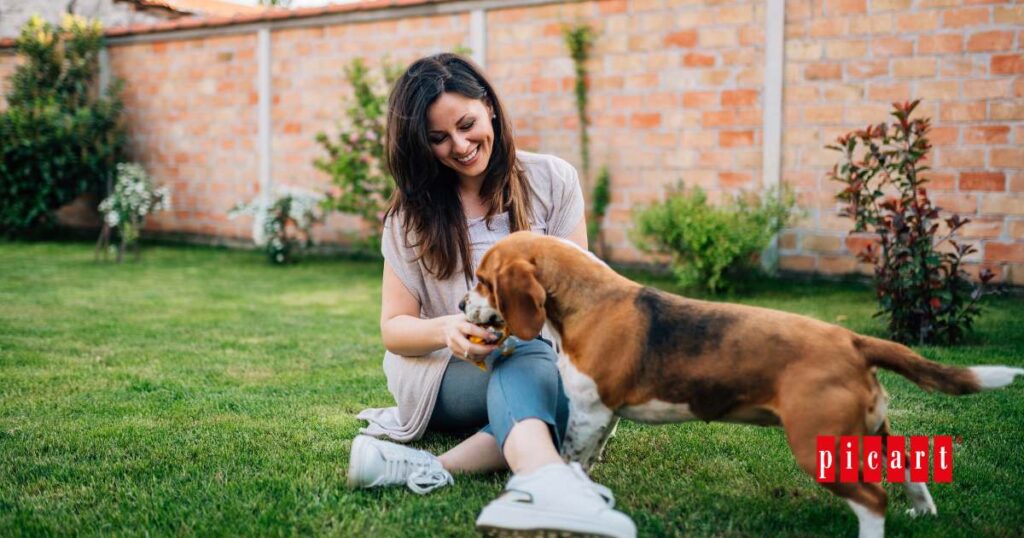 ardín adecuado para perros: Cómo diseñar un espacio seguro y funcional