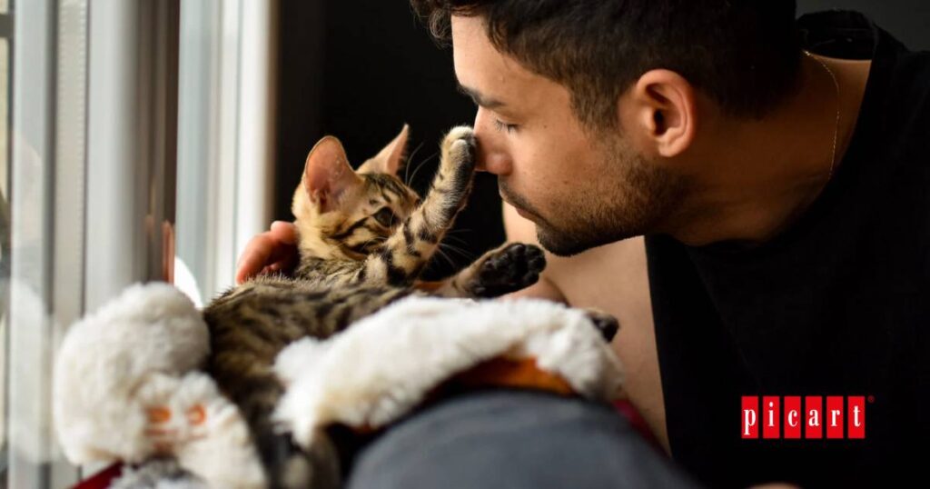 convierte tu casa en un lugar feliz para tu gato