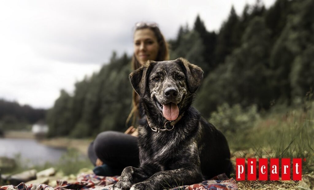 blogpicartestilovida