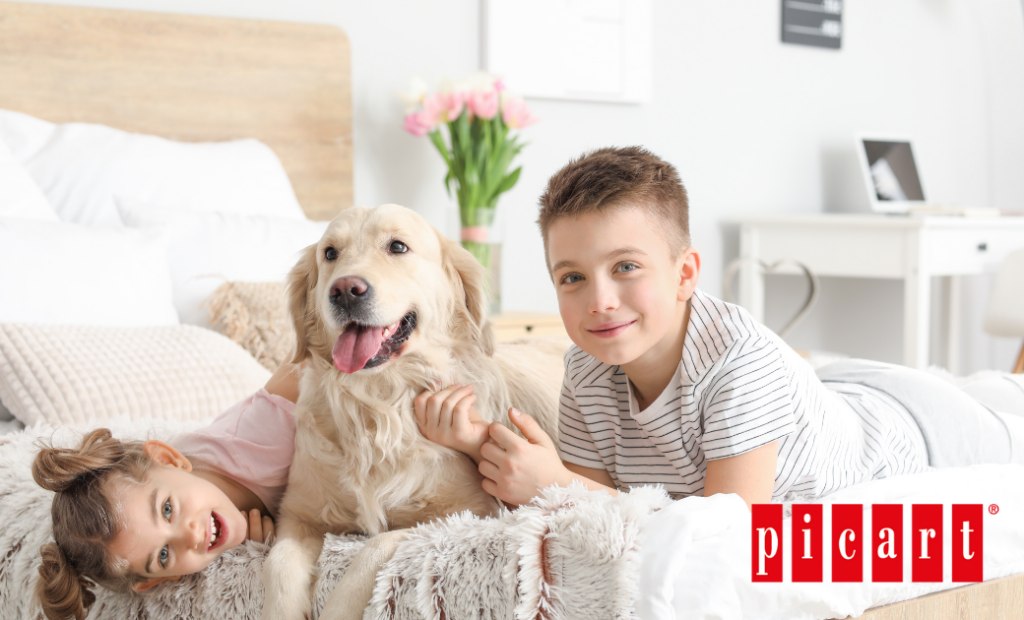 perros y niños en casa