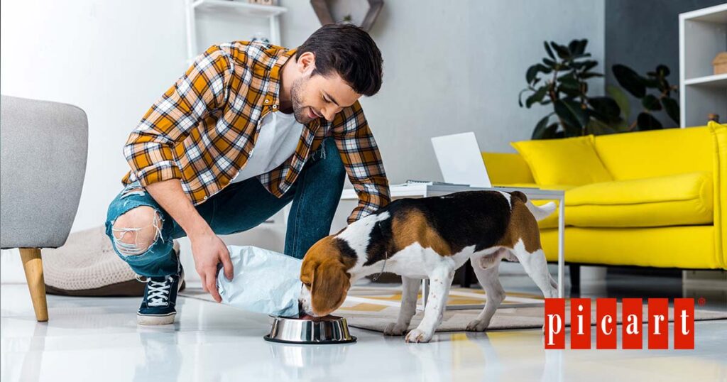 Comida natural para perros