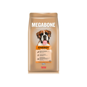 Megabone ENERGY