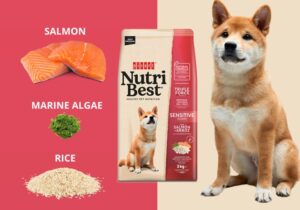 Nutribest Puppy Sensitive Salmon and Rice