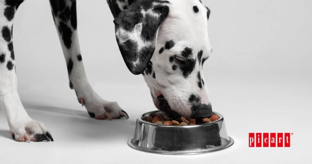 Beneficios de los nutracéuticos