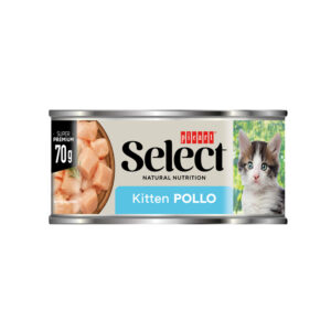Select Cat Wet Kitten pollo 70g