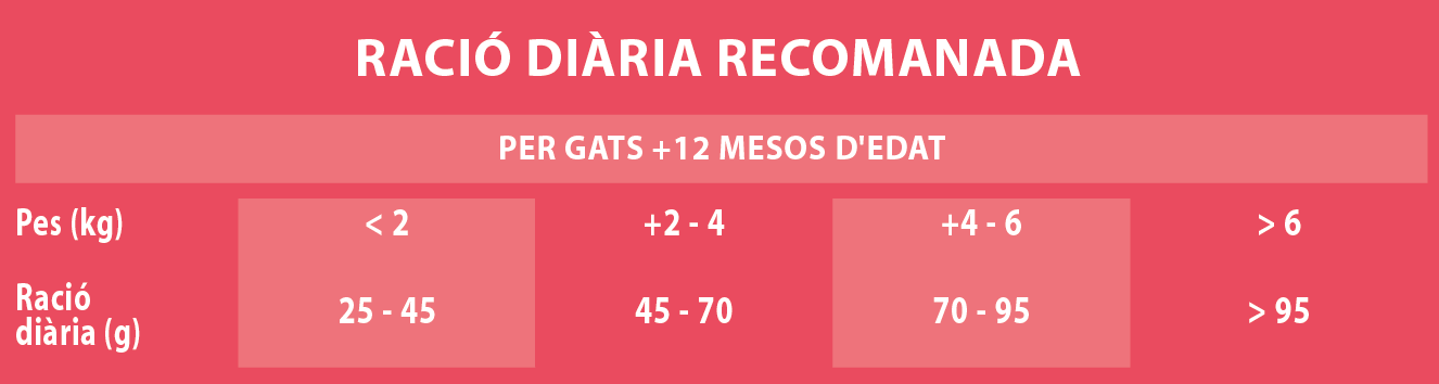 Raciones