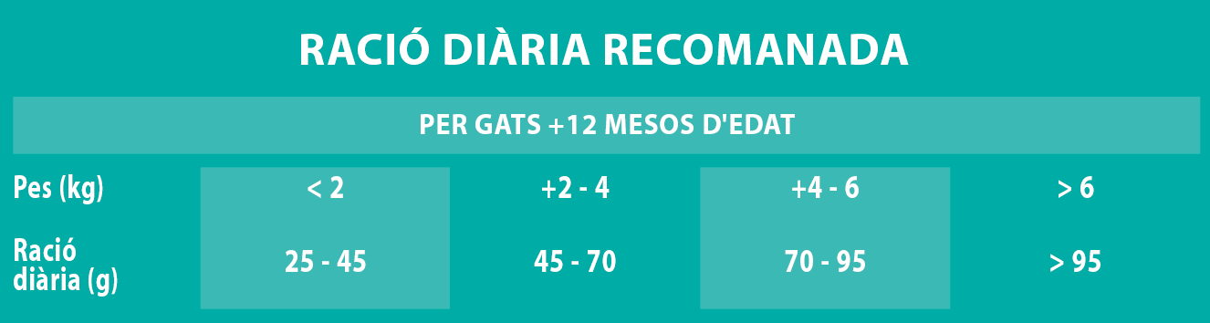 Raciones