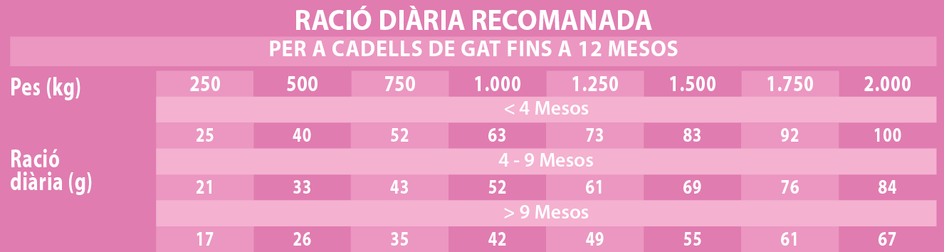 Raciones