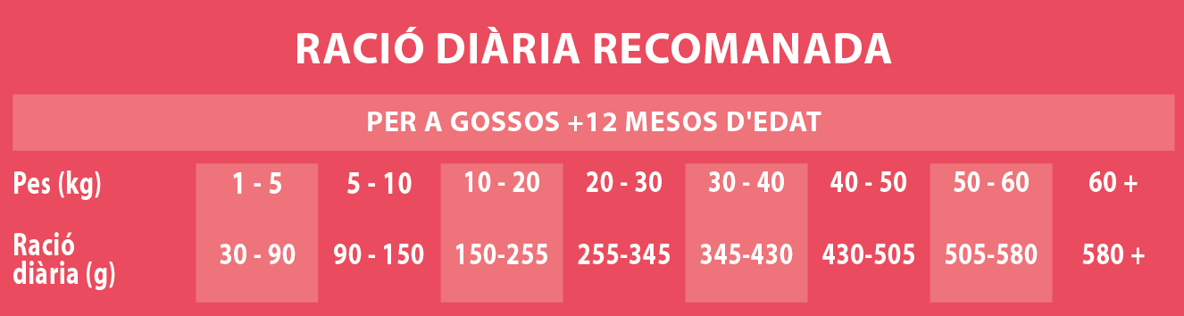 Raciones