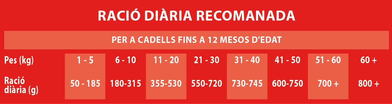 Raciones