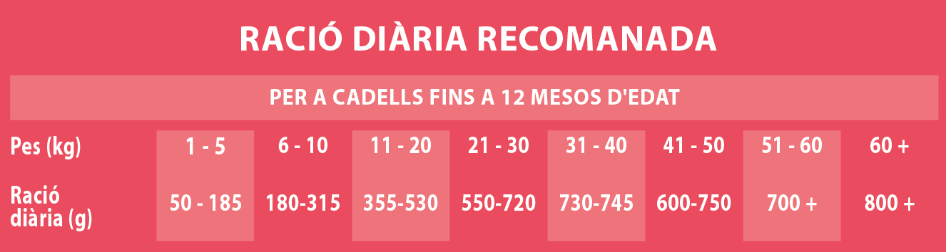 Raciones
