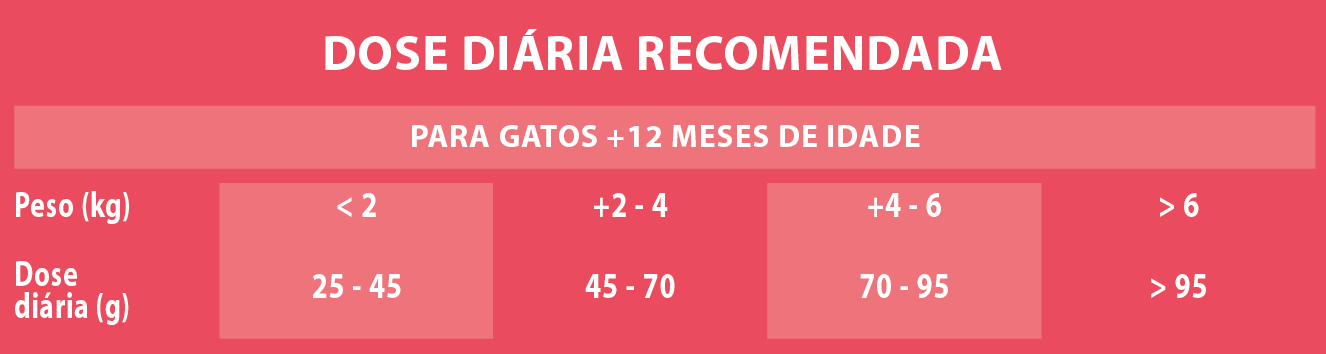 Raciones