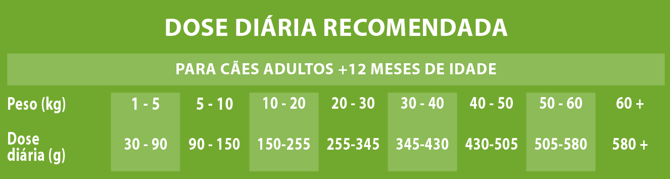 Raciones